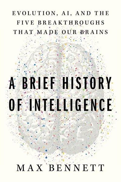 Mariner Books A Brief History of Intelligence