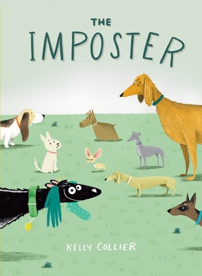 Clarion Books The Imposter