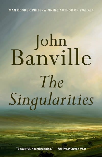 John Banville: a life in writing, Books