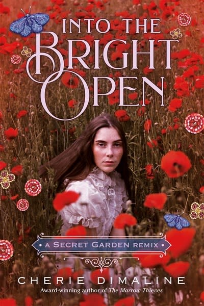 Feiwel & Friends Into the Bright Open: A Secret Garden Remix