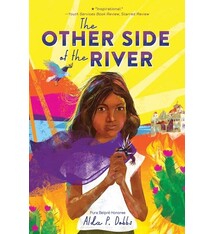 Sourcebooks Young Readers Barefoot Dreams of Petra Luna 02 The Other Side of the River