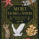 Wide Eyed Editions Secret Stories of Nature: A Field Guide to Uncover Our Planet's Past