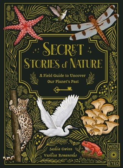 Wide Eyed Editions Secret Stories of Nature: A Field Guide to Uncover Our Planet's Past
