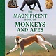 Weldon Owen The Magnificent Book of Monkeys and Apes