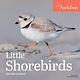 Workman Publishing Company Audubon Little Shorebirds Mini Wall Calendar 2024: A Tribute to the Diversity of Shorebirds and the Fragile Ecosystems they Inhabit