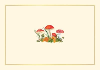 Mushrooms Note Cards (Set of 14)