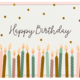 Happy Birthday Note Cards (Set of 14)