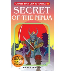 Choose Your Own Adventure: Secret Of The Ninja