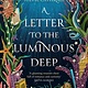 Orbit A Letter to the Luminous Deep: A Novel