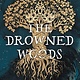 Little, Brown Books for Young Readers The Drowned Woods
