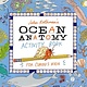 Storey Publishing, LLC Julia Rothman's Ocean Anatomy Activity Book: Match-Ups, Word Puzzles, Quizzes, Mazes, Projects, Secret Codes + Lots More