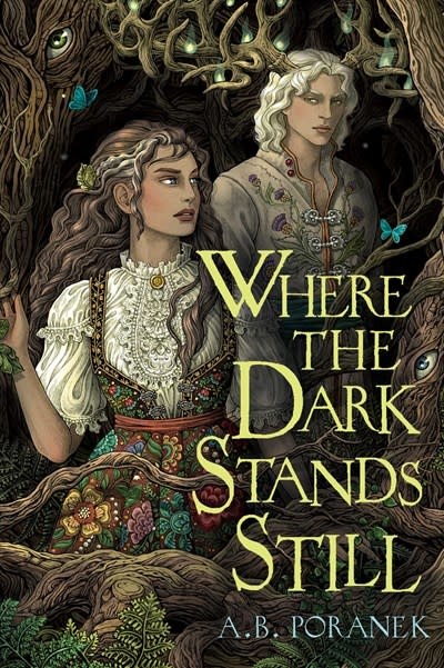 Margaret K. McElderry Books Where the Dark Stands Still