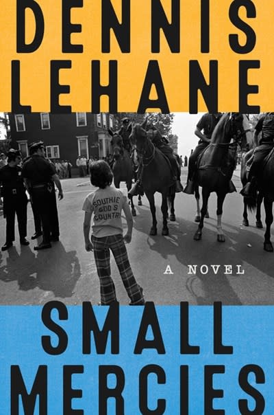 Harper Perennial Small Mercies: A Novel