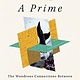 Flatiron Books Once Upon a Prime: The Wondrous Connections Between Mathematics and Literature