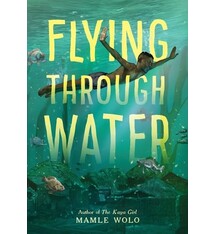 Little, Brown Books for Young Readers Flying Through Water