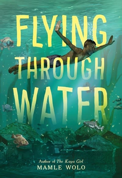 Little, Brown Books for Young Readers Flying Through Water