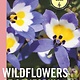 Timber Press Wildflowers of California