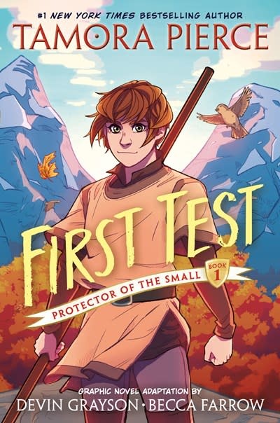 Random House Graphic First Test: Protector of the Small (Graphic Novel)