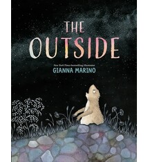 Viking Books for Young Readers The Outside