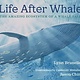 Neal Porter Books Life After Whale: The Amazing Ecosystem of a Whale Fall
