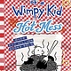 Amulet Books Diary of a Wimpy Kid #19 Hot Mess