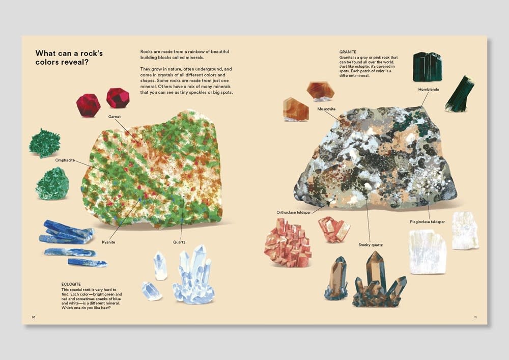 Phaidon Press What a Rock Can Reveal: Where They Come From And What They Tell Us About Our Planet
