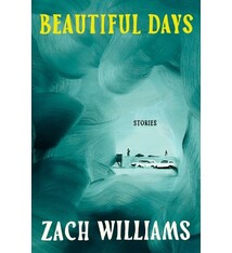 Doubleday Beautiful Days: Stories