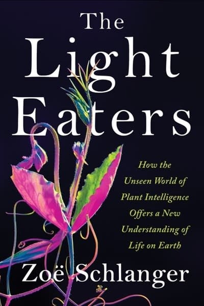 Harper The Light Eaters: How the Unseen World of Plant Intelligence Offers a New Understanding of Life on Earth