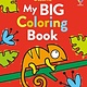 Usborne My Big Coloring Book