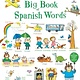 Usborne Big Book of Spanish Words