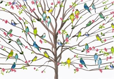 Tree of Budgies Note Cards (Set of 14)