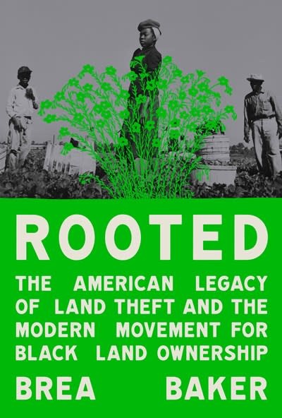 One World Rooted: The American Legacy of Land Theft and the Modern Movement for Black Land Ownership