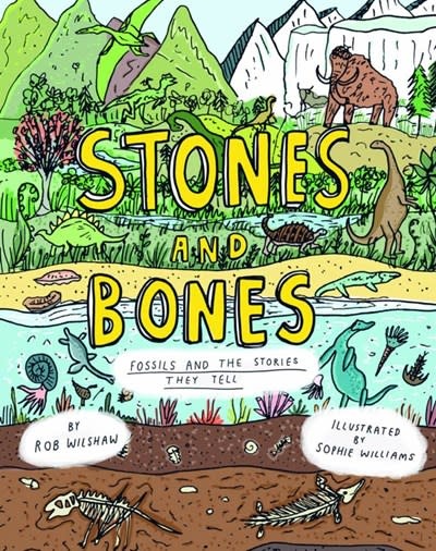Cicada Books Stones and Bones: Fossils and the stories they tell