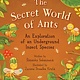 Sky Pony The Secret World of Ants: An Exploration of an Underground Insect Species