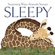 Beach Lane Books Sleepy: Surprising Ways Animals Snooze