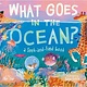 Little Simon What Goes in the Ocean?: A Seek-and-Find Book