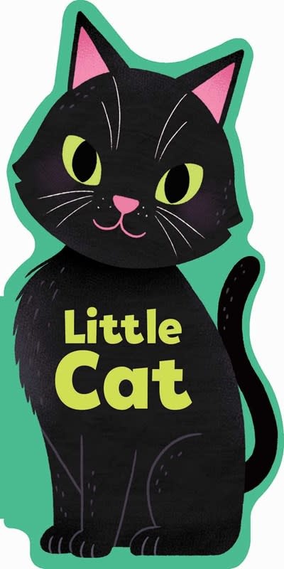 Silver Dolphin Books Little Cat