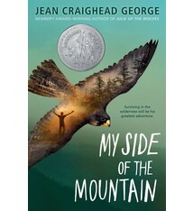 Mountain 01 My Side of the Mountain