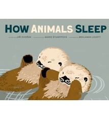 How Animals Sleep