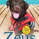 Starscape Zeus: Water Rescue: Dogs with a Purpose