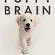 Celadon Books Puppy Brain: How Our Dogs Learn, Think, and Love