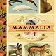 Bushel & Peck Books Mammalia: An Illustrated Guide to the World of Mammals