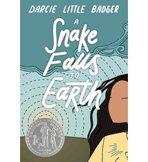 Levine Querido A Snake Falls to Earth