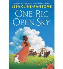 Holiday House One Big Open Sky