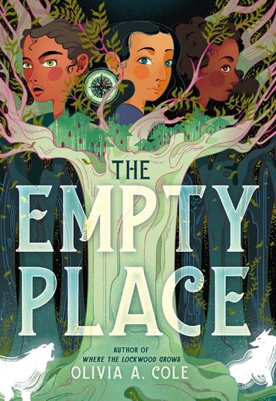 Little, Brown Books for Young Readers The Empty Place