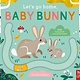 Nosy Crow Let's Go Home, Baby Bunny
