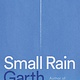 Farrar, Straus and Giroux Small Rain: A Novel