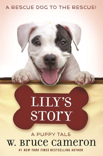 Starscape Lily's Story: A Puppy Tale