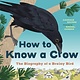 Greystone Kids How to Know a Crow: The Biography of a Brainy Bird