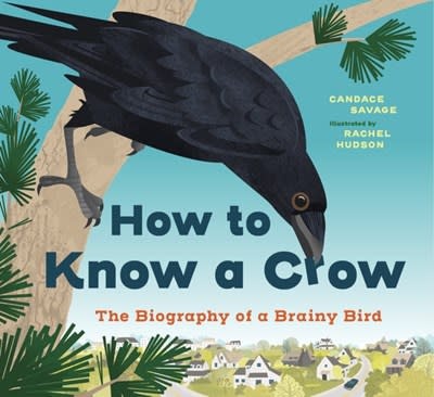 Greystone Kids How to Know a Crow: The Biography of a Brainy Bird